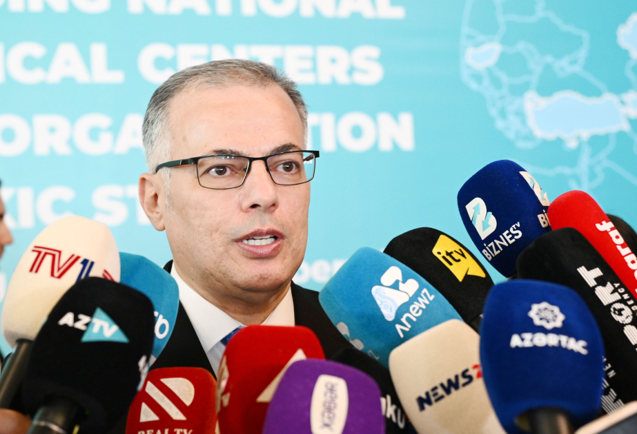 İcraçı direktor: Türk dünyasının böyük potensialını hərəkətə keçirmək lazımdır