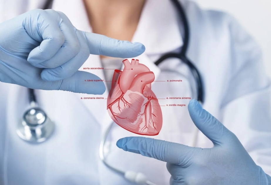 Aujourd’hui, c’est la Journée internationale de la cardiologie interventionnelle