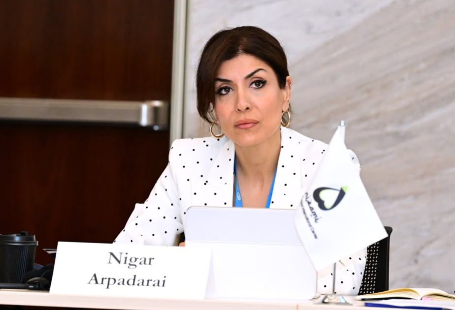 Nigar Arpadarai: Ermənistanda Azərbaycan mədəni irsinin dağıdılması üçün sistemli siyasət aparılıb