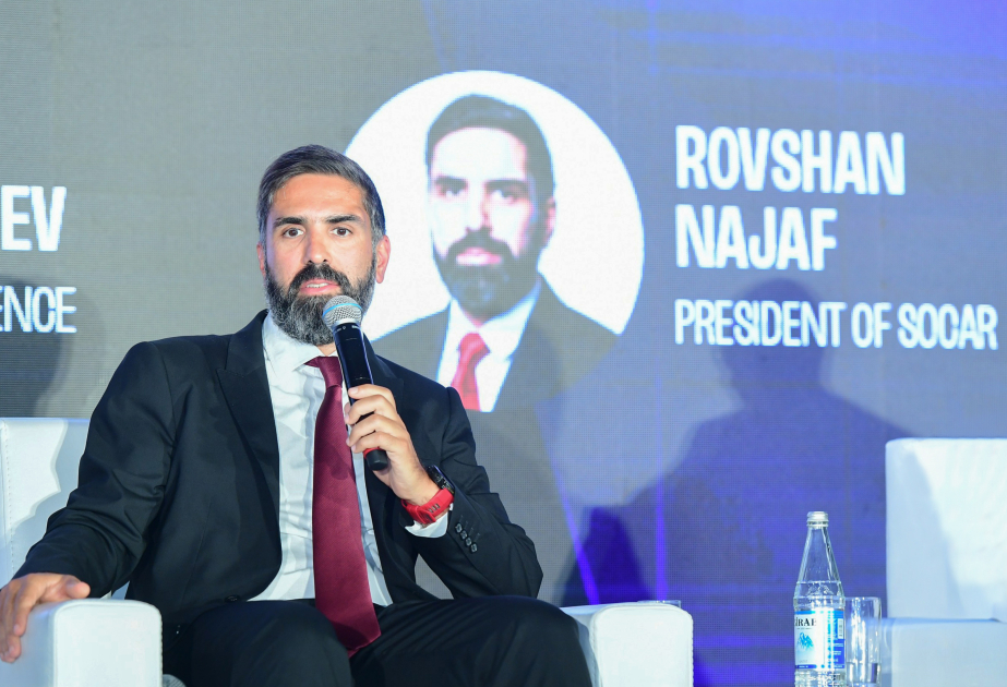 Rövşən Nəcəf: Uyğunlaşma bacarığı və ömürboyu təhsil getdikcə daha vacib olur
