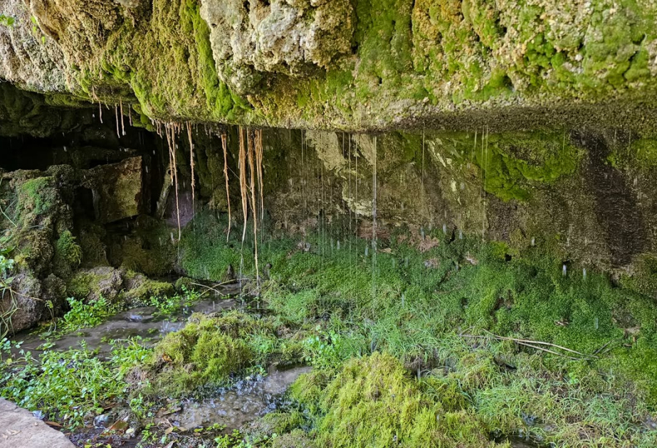 Gizlar Spring – A legend carved into Nakhchivan’s stone memory VIDEO