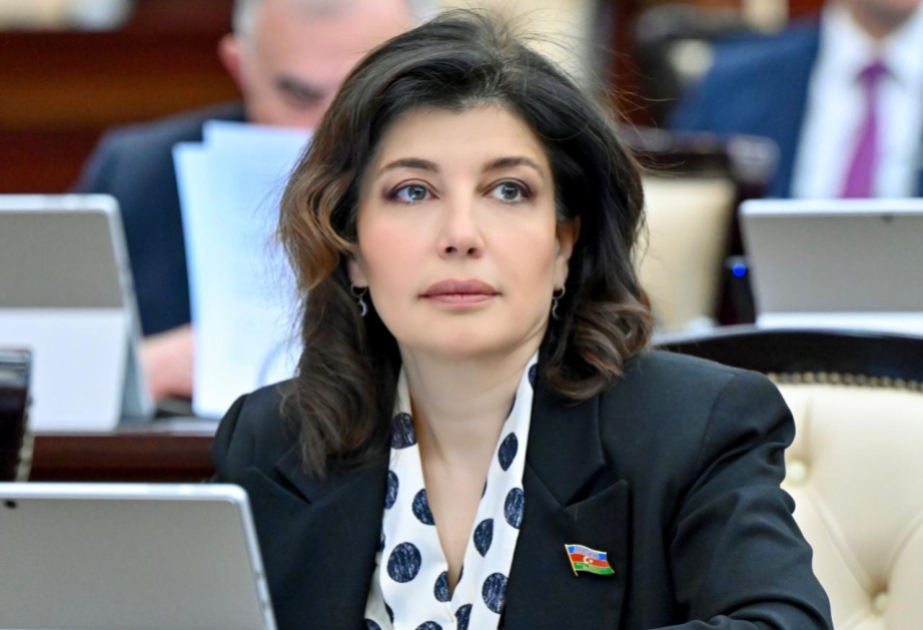 Günay Əfəndiyeva: Regionun gələcəyi beynəlxalq hüquqa və suverenliyə hörmət prinsipləri ilə qurulmalıdır