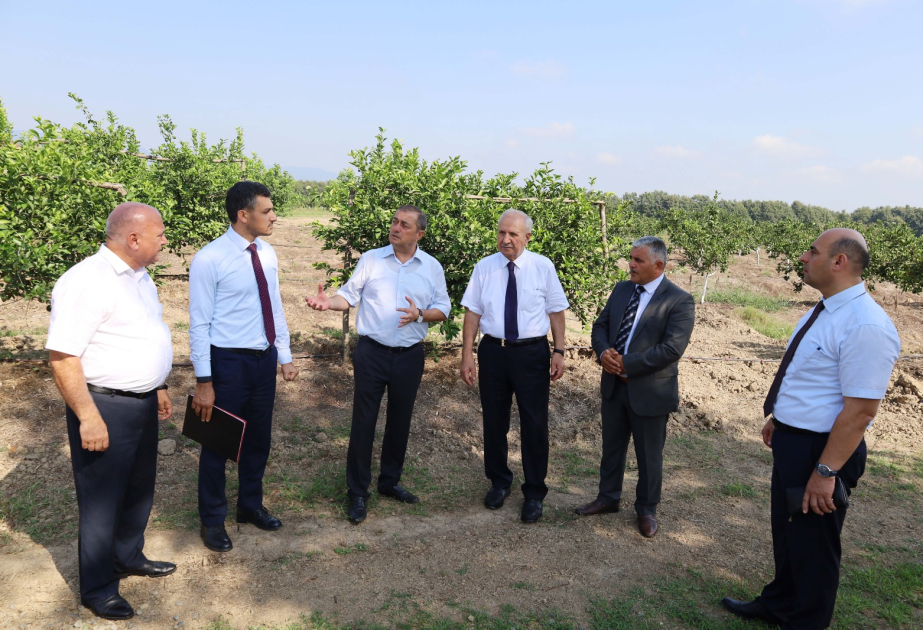 Astarada kənd təsərrüfatının inkişafı ilə bağlı yeni hədəflər müzakirə olunub