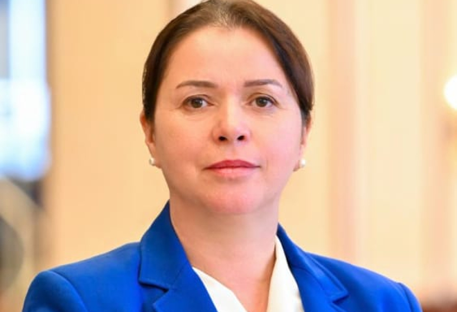 Tarixi və mədəni irs məsələsinin yenidən siyasi müzakirələrin predmetinə çevrilməsi məntiqdən uzaqdır - ŞƏRH