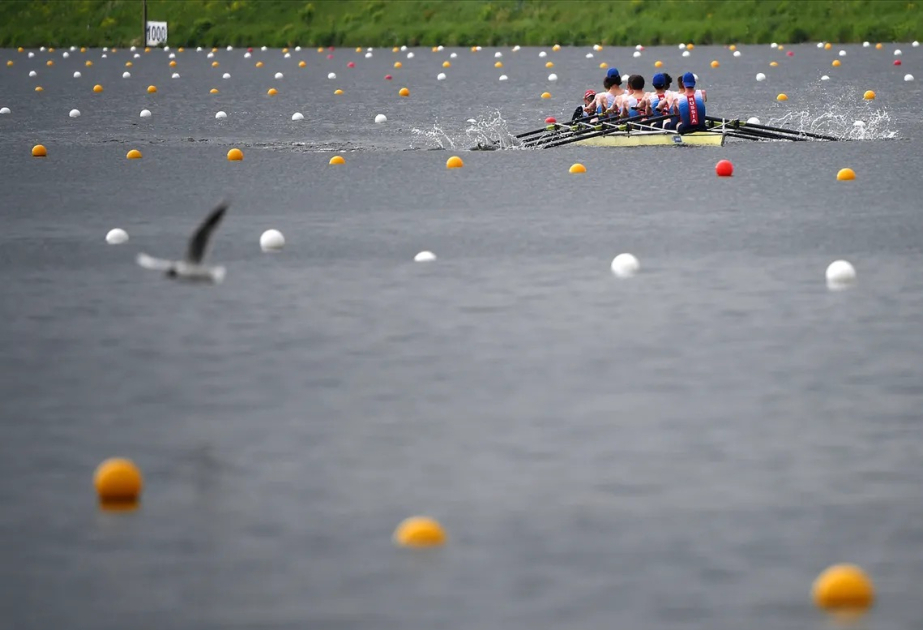 Crocodile-ridden Rockhampton river venue cleared to host Brisbane 2032 rowing