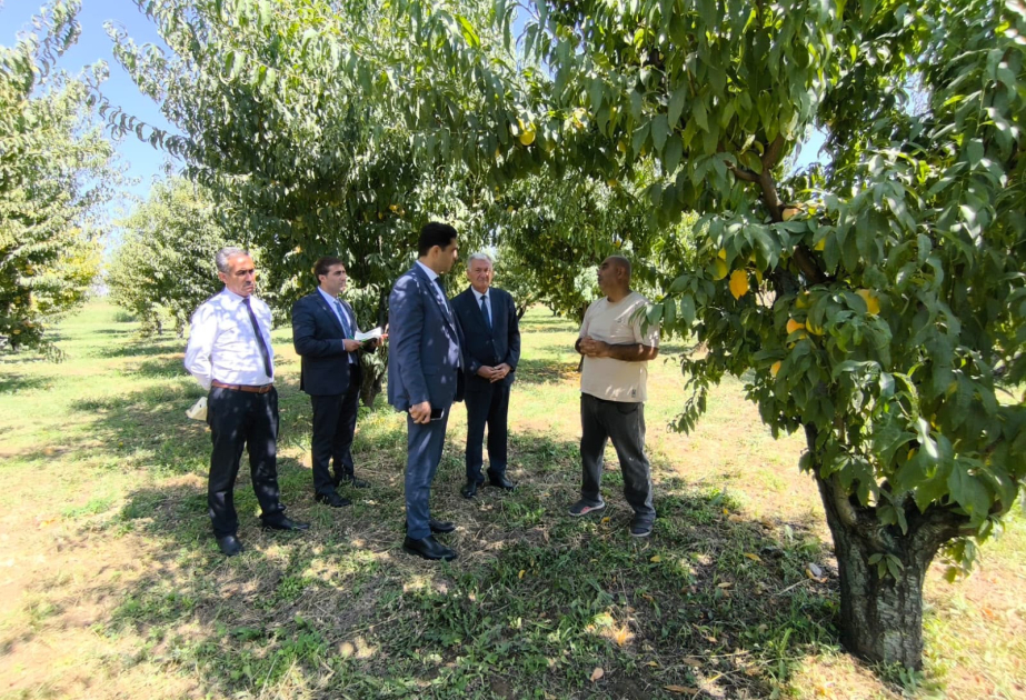 Aqrar Sığorta Fondunun sədri Şərurda vətəndaşlarla görüşüb, təsərrüfatlara baş çəkib