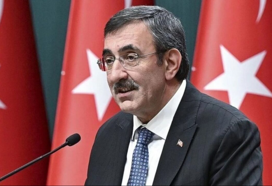 Türkiyə universitetlərində gələn ildən əcnəbi tələbələr üçün yeni imkanlar yaradılacaq