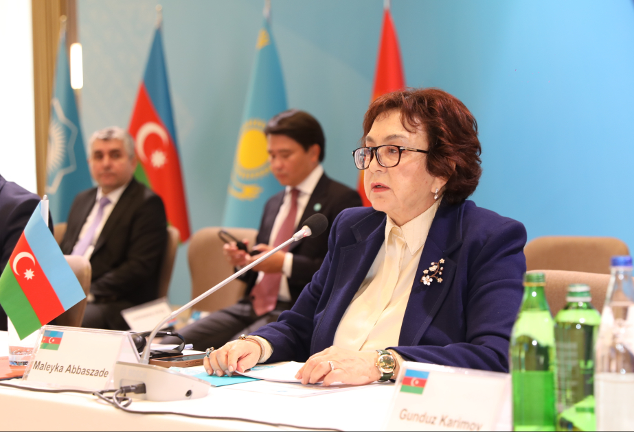 Məleykə Abbaszadə: Dövlət qulluğuna qəbul prosesinin bütün mərhələləri rəqəmsallaşdırılıb