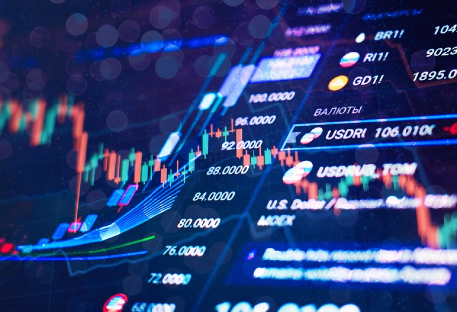 Türkiyədə “Forex dələduzluğu”na qarşı əməliyyat keçirilib, 174 şübhəli saxlanılıb