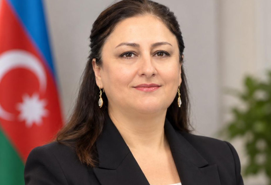 Ermənistan cəmiyyətində regiondakı yeni reallıqların dərki ilə bağlı hələ də ciddi problemlər mövcuddur -  RƏY