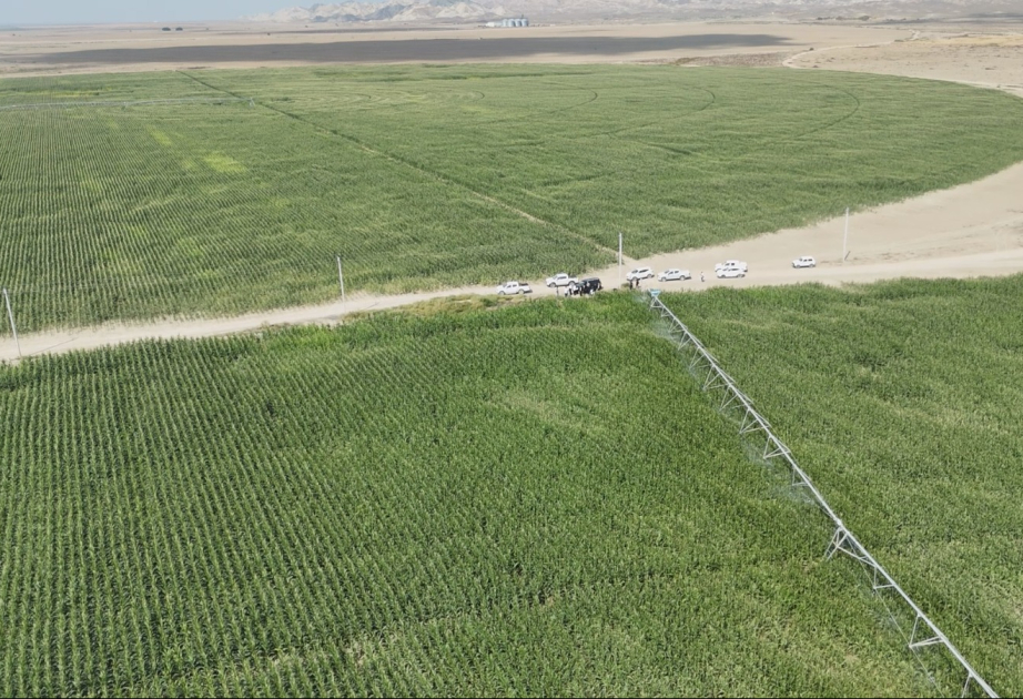 Goranboyda aqrar layihələr genişləndirilir - 2026–2030 Dövlət Proqramının icrası diqqət mərkəzindədir