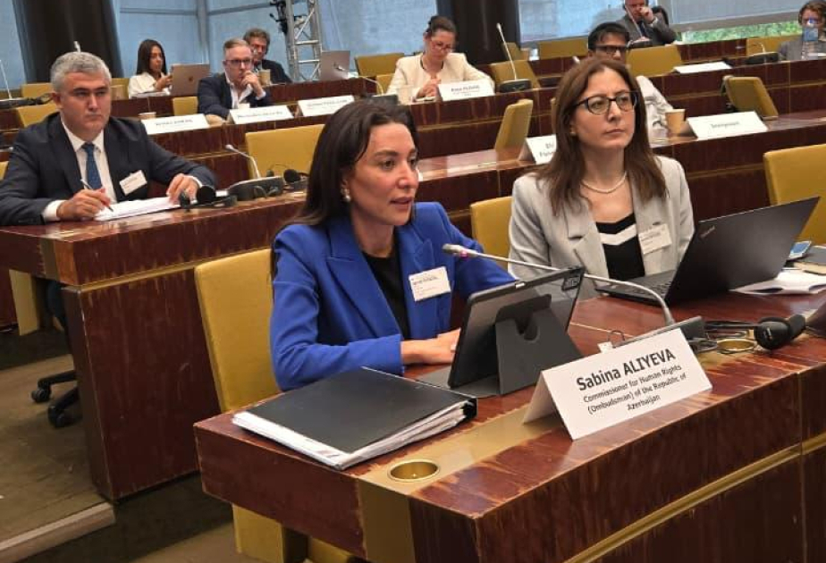 Azerbaiyán estuvo representado en el Segundo Foro sobre Empresas y Derechos Humanos en Estrasburgo