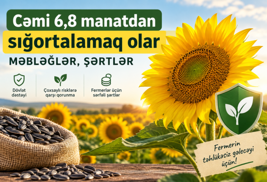 1000 manatlıq günəbaxan məhsulunu 6,8 manata sığortalamaq olar – MƏBLƏĞLƏR, ŞƏRTLƏR