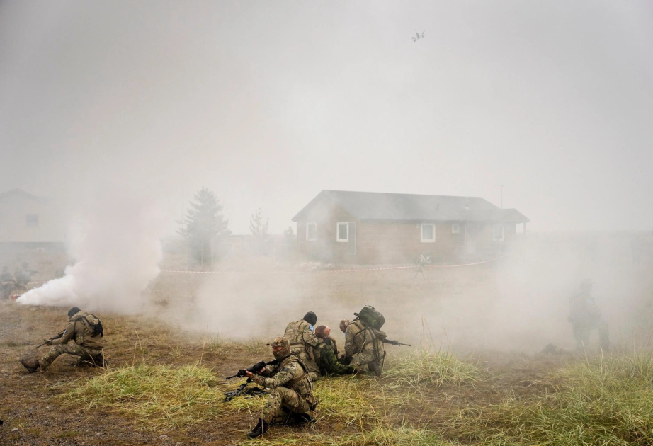 Шведские военные участвуют в международных учениях в Гренландии