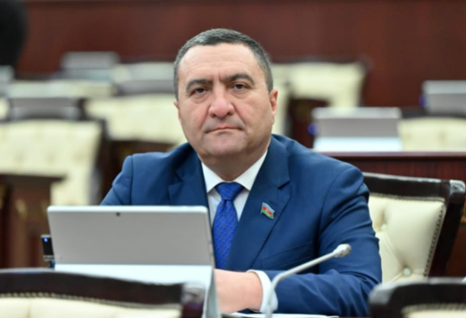 Azərbaycan TDT-də həm platforma, həm təşəbbüskar, həm də etibarlı tərəfdaşdır -  ŞƏRH