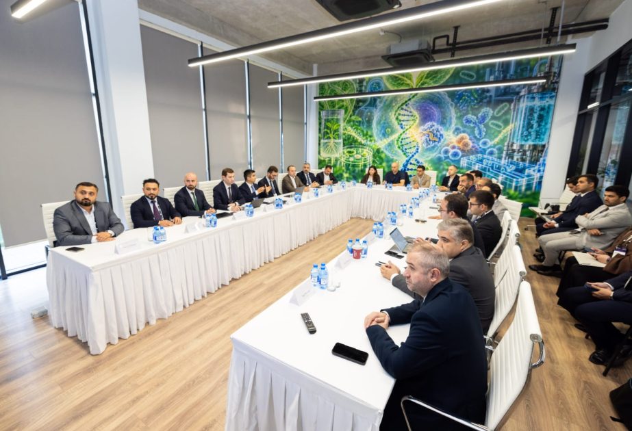Nazir müavini: IT əmək bazarının tələb və təklifi arasında böyük fərq var