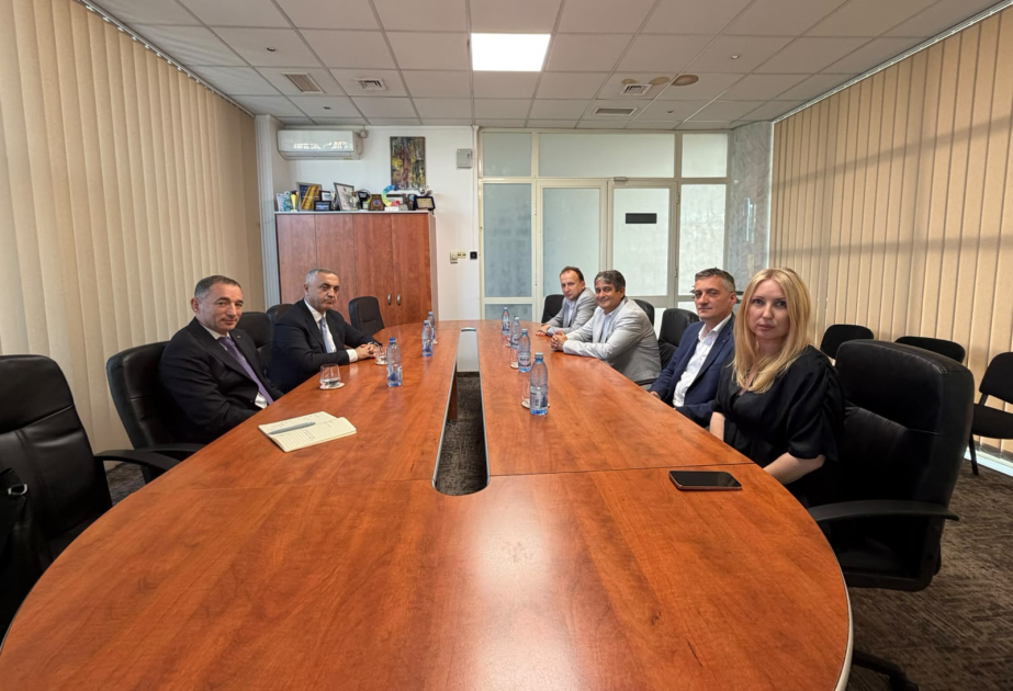 Special Representative of President of Azerbaijan holds several meetings in Romania