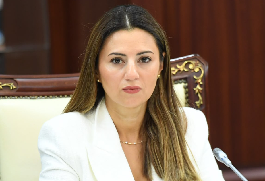 Suverenliyin bərpasından Qarabağın yeni reallığına -  ŞƏRH
