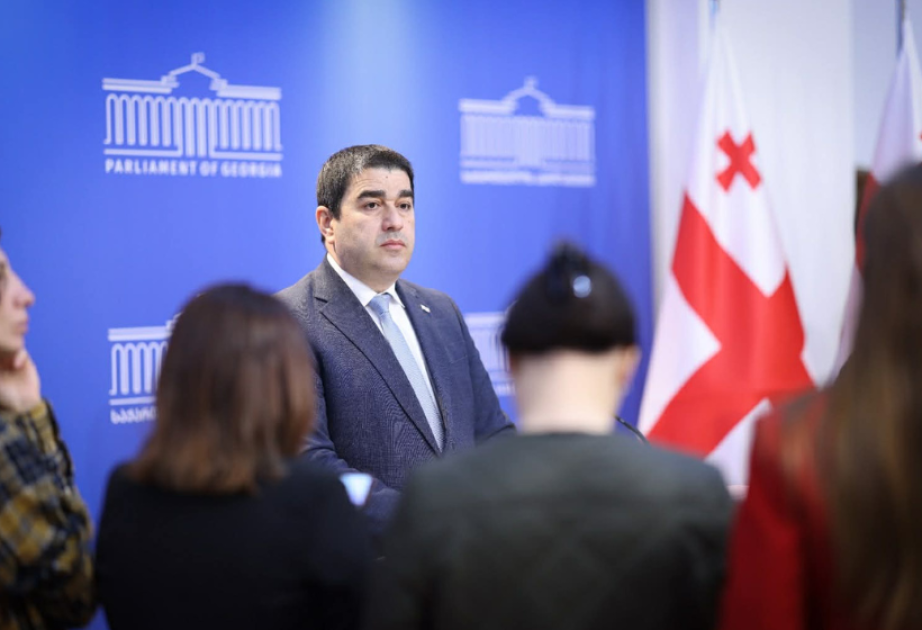 Gürcüstan ilə Avropa Şurası arasında münasibətlər yenidən gərginləşə bilər