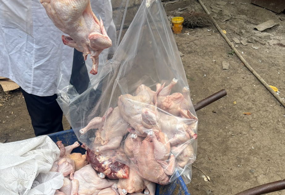 Masallıda qanunsuz toyuq kəsimi sexləri aşkarlanıb