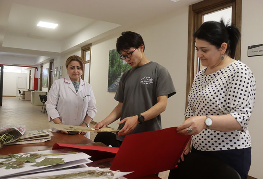 Yaponiyalı doktorant Azərbaycan botanikləri ilə birgə mamır növünün populyasiya genomikasını araşdırır