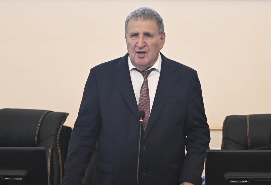 İsa Həbibbəyli: Qafqaz Albaniyası ilə bağlı elmi tədqiqatlar sistemli şəkildə davam etdirilməlidir
