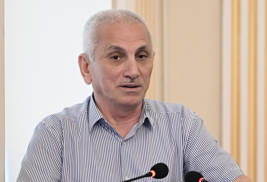 Ramil Ağayev: Abidələrdəki yazılara əsasən xalqın etnik kimliyini müəyyən etmək olmaz