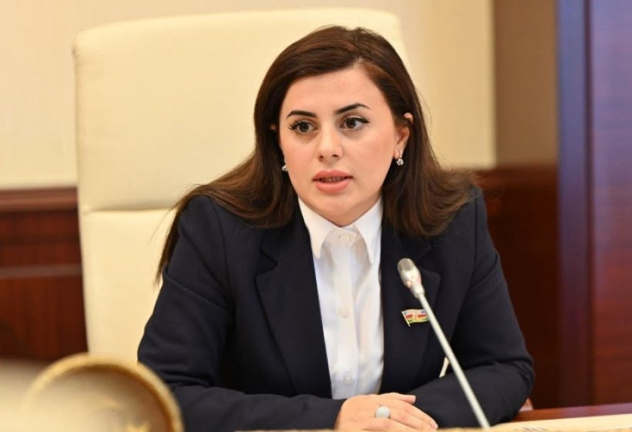 Deputat: Azərbaycan qarşı aparılan kampaniyanın dirijoru Ermənistan hakimiyyətidir
