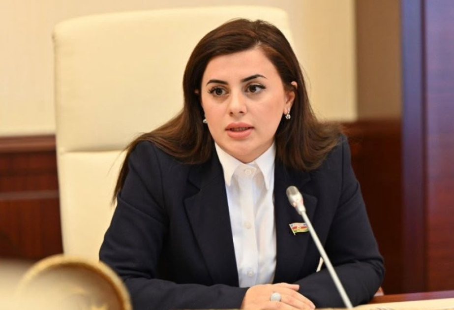 Депутат: Армянские власти дирижируют антиазербайджанской кампанией