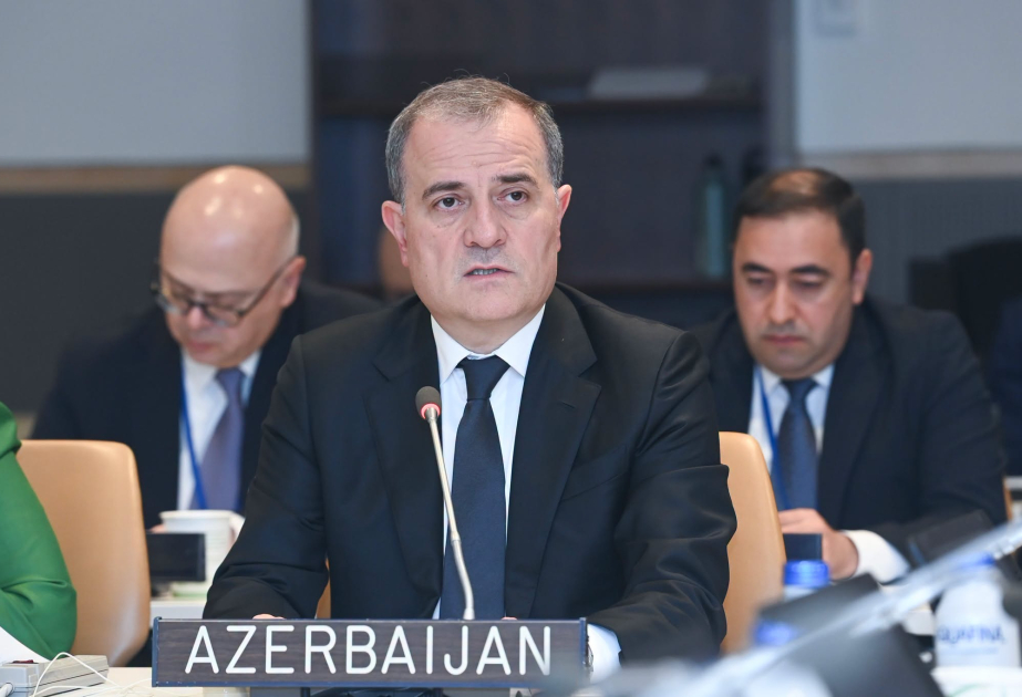 Azərbaycanın xarici işlər naziri Nyu-Yorkda Cammu və Kəşmir üzrə Kontakt Qrupunun iclasında çıxış edib