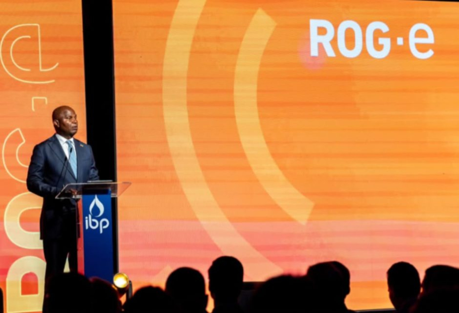 Mozambican President invites Brazilian companies to invest in gas sector
