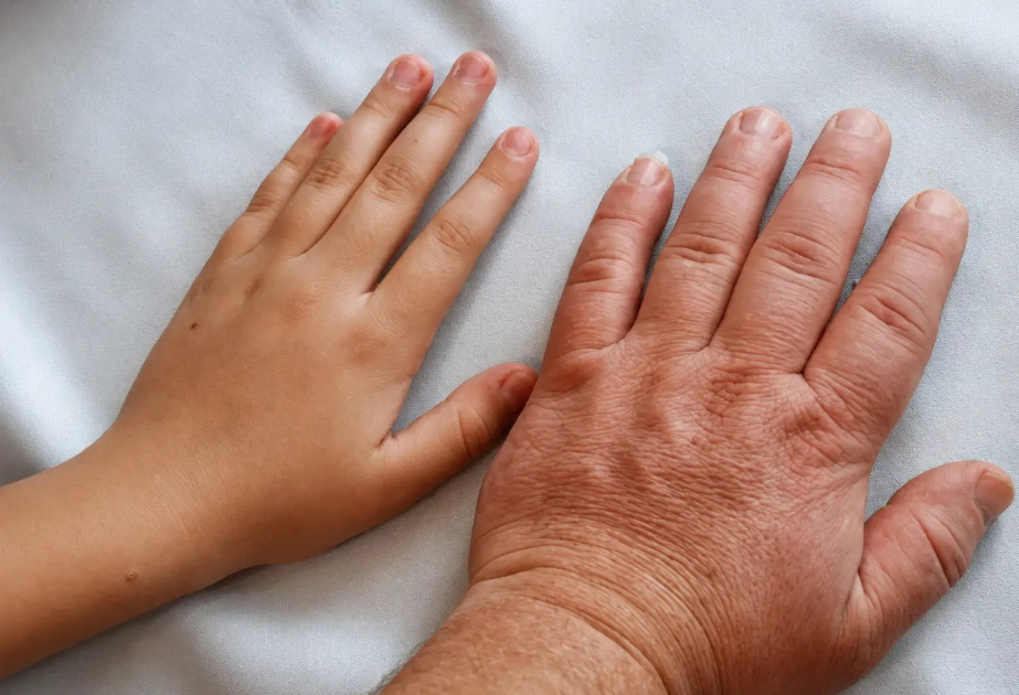 Changing the way we age: Discovery could help preserve muscle strength