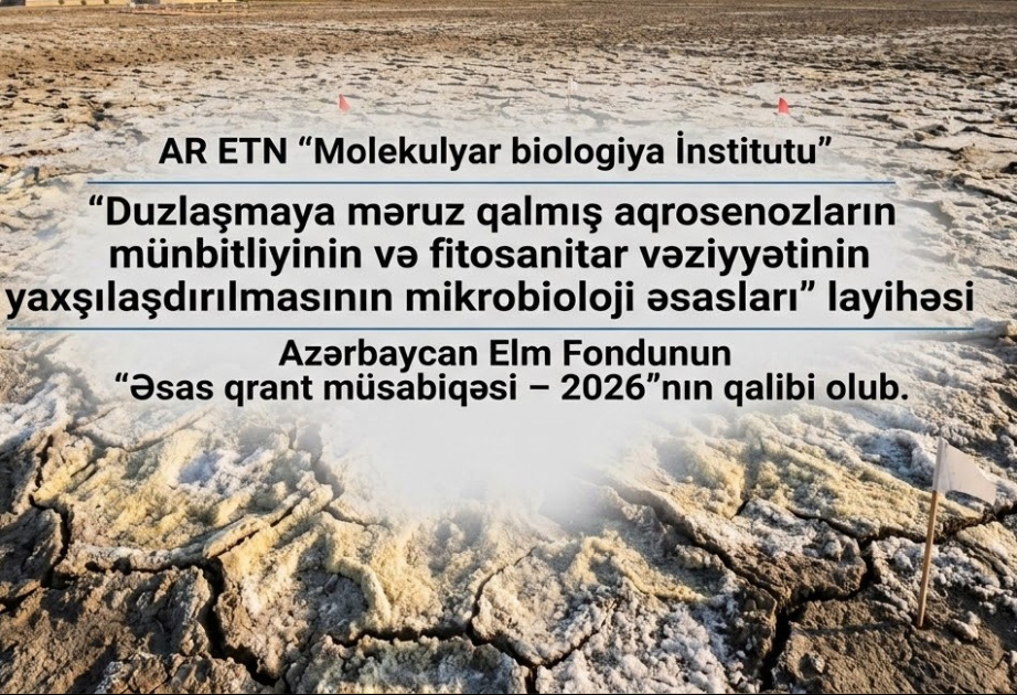 Duzlaşmaya məruz qalmış aqrosenozların münbitliyinin yaxşılaşdırılması ilə bağlı layihə qrant qalibi olub