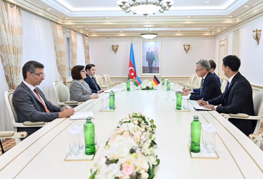 Almaniyanın Azərbaycandakı səfiri Milli Məclisdə olub