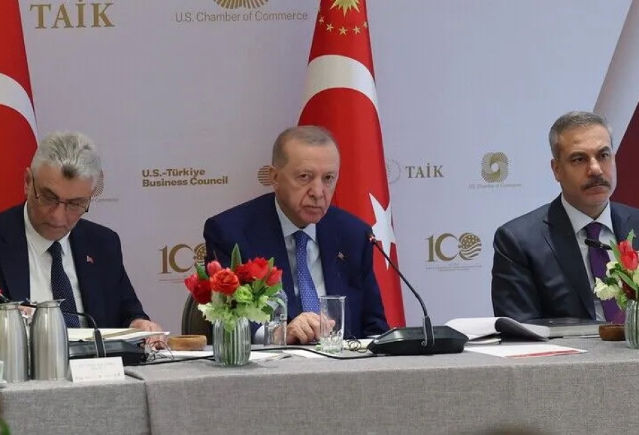 Ərdoğan: Bakı-Tbilisi-Ceyhandan tutmuş TANAP-a qədər, Türkiyə fasiləsiz enerji axınının ən etibarlı dəhlizidir