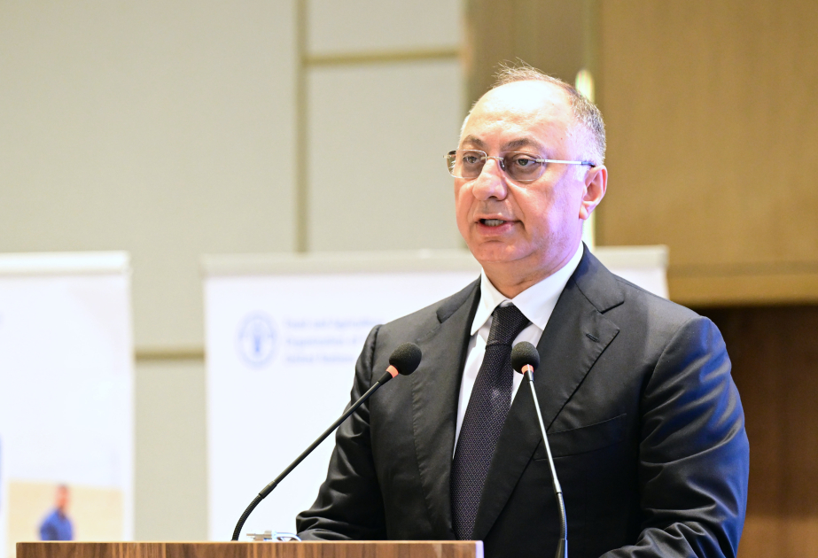 Agentlik sədri: Yerli toxum istehsalının inkişaf etdirilməsi xüsusi əhəmiyyət daşıyır VİDEO