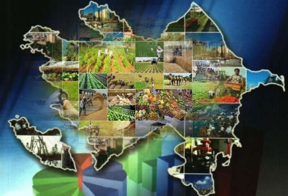 Famil Rüstəmov: Regionlarda məşğulluğun genişlənməsi aqrar iqtisadiyyatın dayanıqlığını artırır