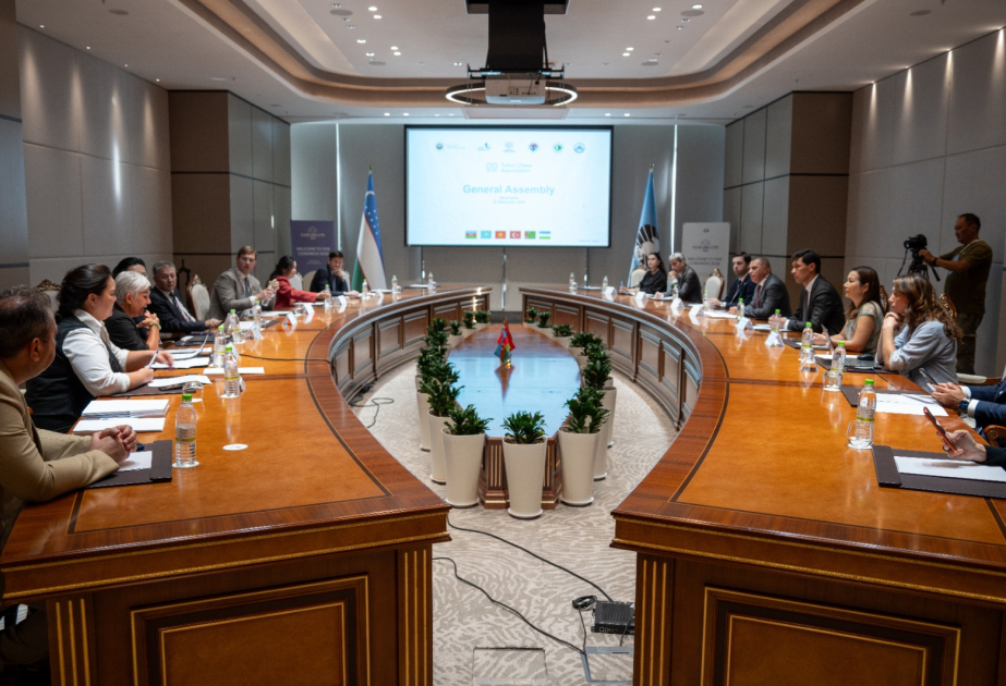 Turkic-speaking countries to establish Chess Academy