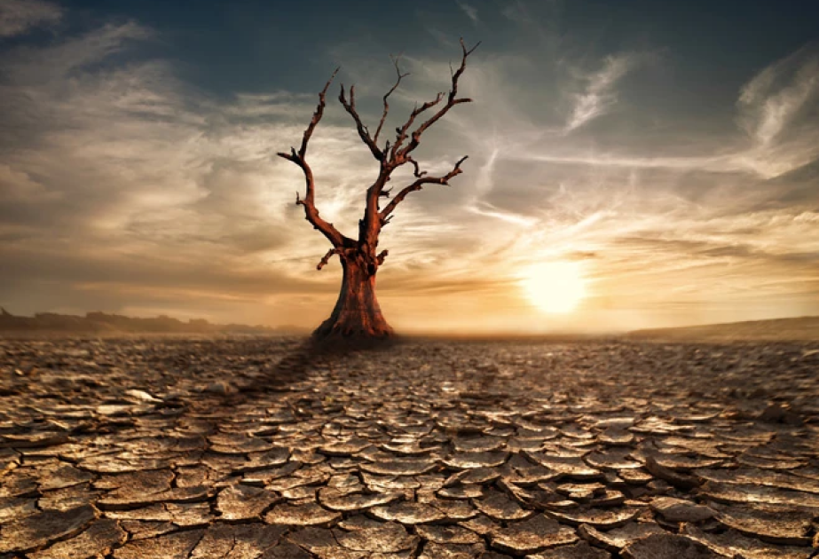 Heat waves on land start earlier and develop faster, global analysis reveals