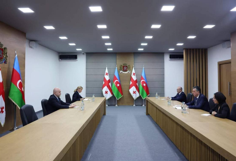 Azerbaijan, Georgia discuss cooperation between law enforcement agencies