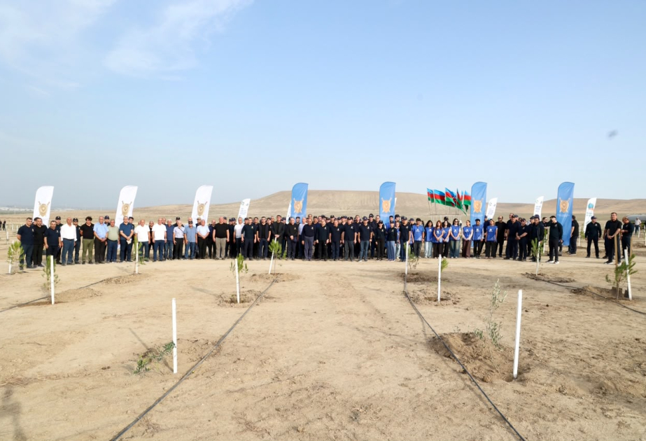 Prokurorluq işçilərinin peşə bayramı münasibətilə ağacəkmə kampaniyası təşkil olunub