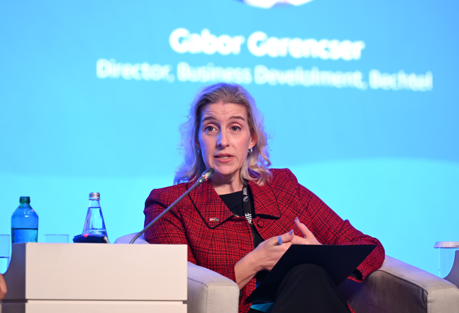 Amy Carlon: Orta Dəhliz regionun iqtisadi potensialının reallaşdırılması üçün mühüm imkanlar yaradır