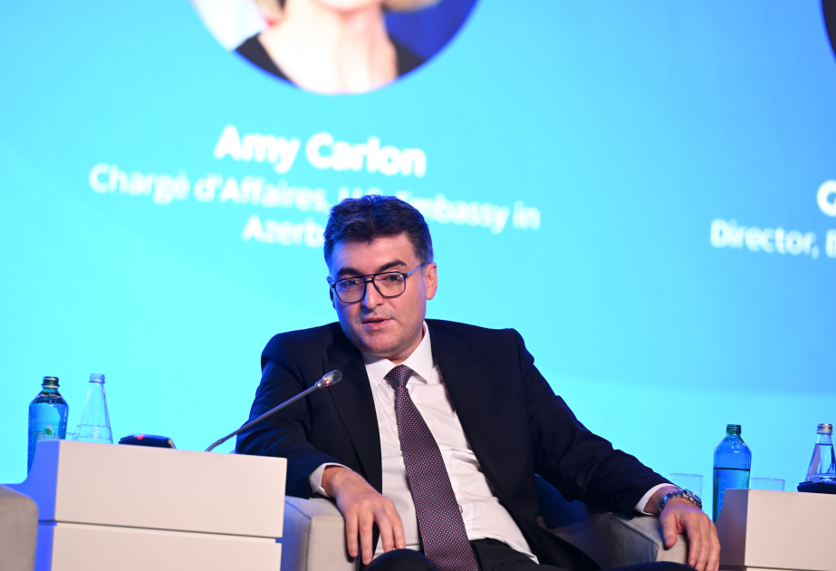 Orxan Zeynalov: Mərkəzi Asiya ilə Azərbaycan arasında az vaxt fərqi bərpaolunan enerjinin inteqrasiyası üçün imkan yaradır VİDEO