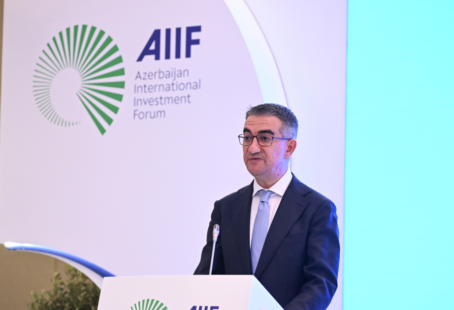 Elnur Bağırov: Uğur qazanmaq üçün investorların maliyyəyə, müasir infrastruktura və bazarlara çıxışına ehtiyacı var
