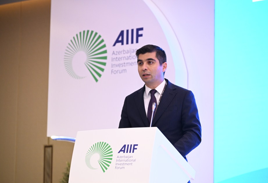 Nazir müavini: 30 min dövlət qulluqçusu süni intellekt və kibertəhlükəsizlik üzrə təlimlərə cəlb olunacaq