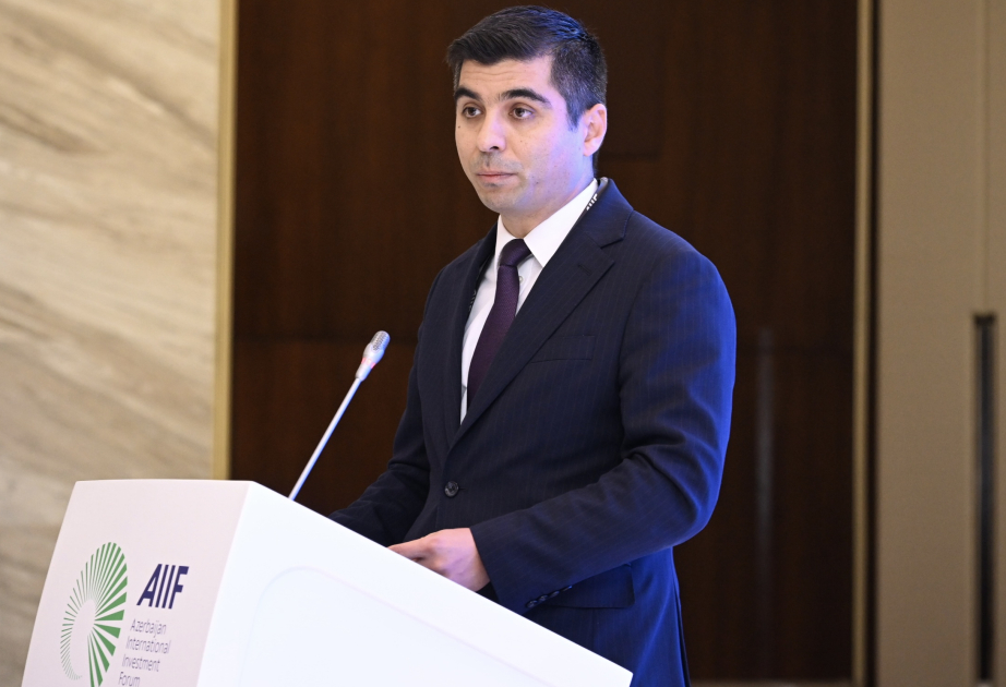 Rəşad Həsənov: Qanunvericiliklərin tətbiqində müəyyən vaxt itirdiyimiz üçün çox aqressiv hərəkət etməliyik
