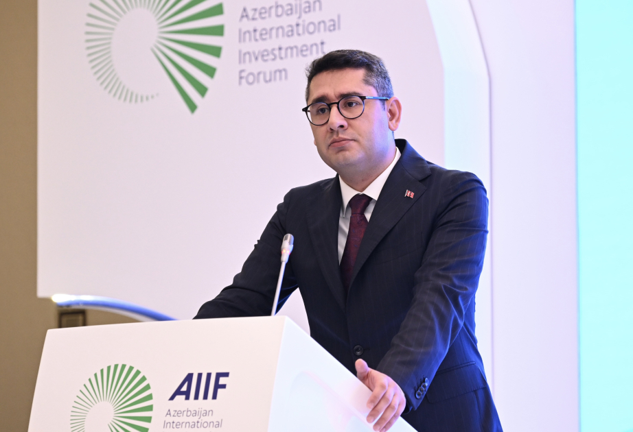 Nazir müavini: Türkiyə və Azərbaycan süni intellekt sahəsində birgə texnologiyaların hazırlanmasını genişləndirəcək