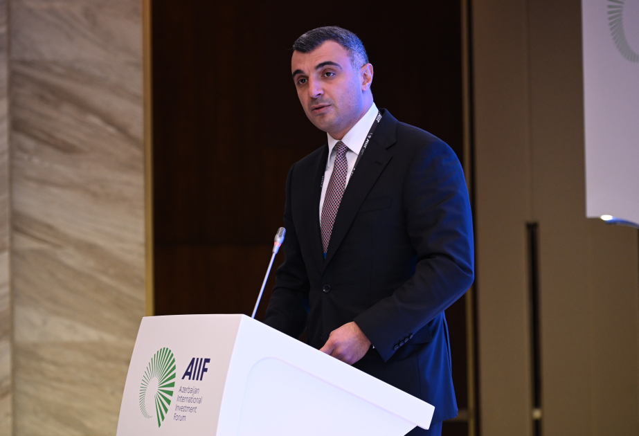 Taleh Kazımov: Azərbaycanın strateji valyuta ehtiyatları 41 aylıq idxalı qarşılamağa kifayətdir