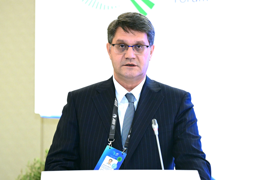Rəşad İsmayılov: Kritik mineralların məsuliyyətlə idarə olunması Azərbaycanın milli iqlim gündəliyinin əsas istiqamətlərindəndir
