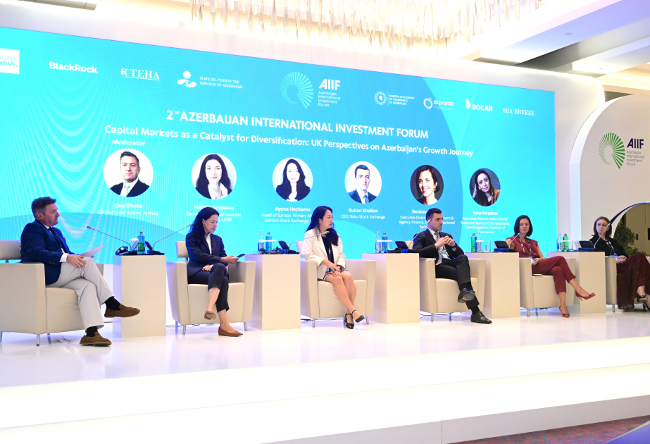 Role of capital markets in economic diversification discussed - panel session